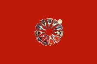 湛江市霞山区回收红酒